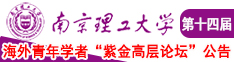 鸡巴操逼中文字幕南京理工大学第十四届海外青年学者紫金论坛诚邀海内外英才！